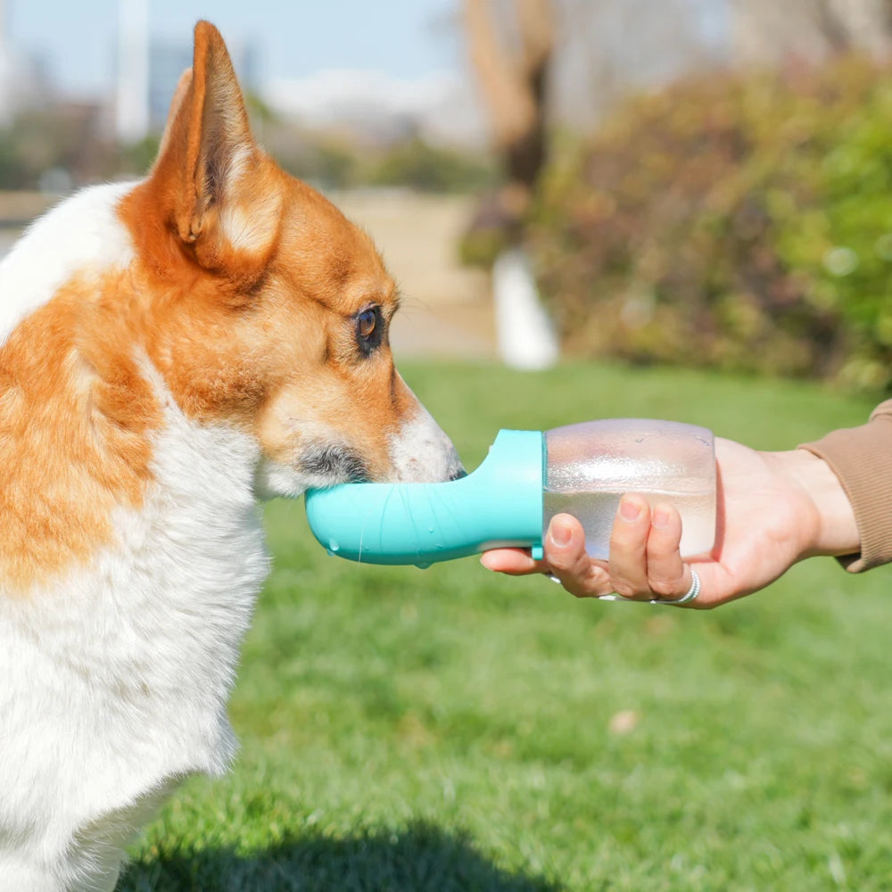 Portable Pet Water Bottle — 300ML Travel Drinking Bowl | Dogs & Cats