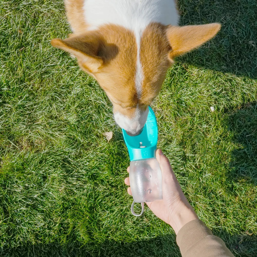 Portable Pet Water Bottle — 300ML Travel Drinking Bowl | Dogs & Cats